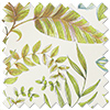 Paloma, Kiwi - Motorised Roman Blind
